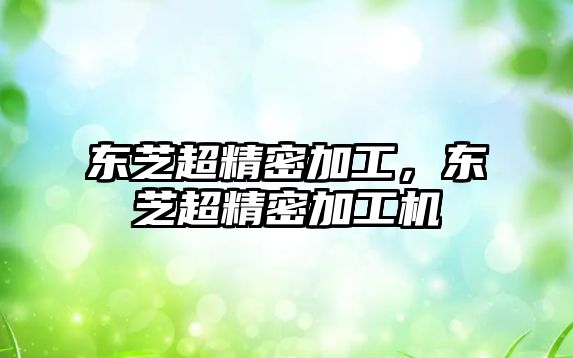 東芝超精密加工，東芝超精密加工機