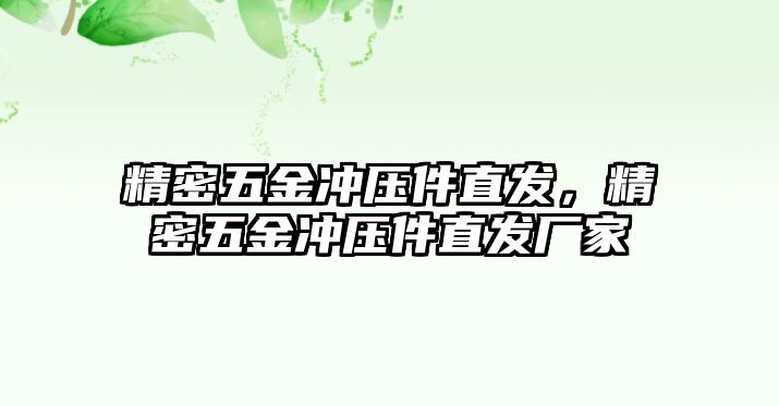 精密五金沖壓件直發(fā)，精密五金沖壓件直發(fā)廠家