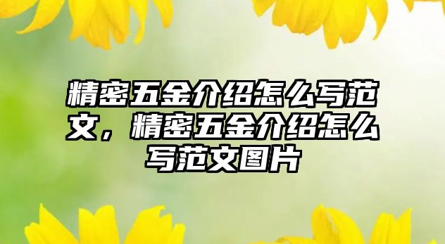 精密五金介紹怎么寫范文，精密五金介紹怎么寫范文圖片