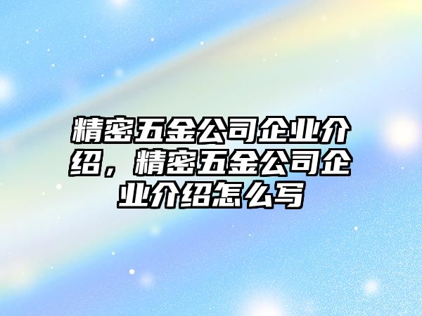 精密五金公司企業(yè)介紹，精密五金公司企業(yè)介紹怎么寫