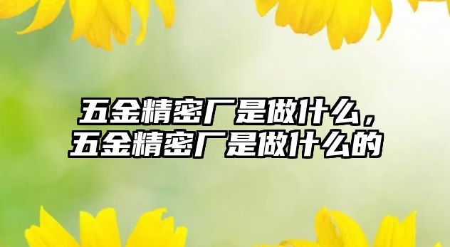 五金精密廠(chǎng)是做什么，五金精密廠(chǎng)是做什么的