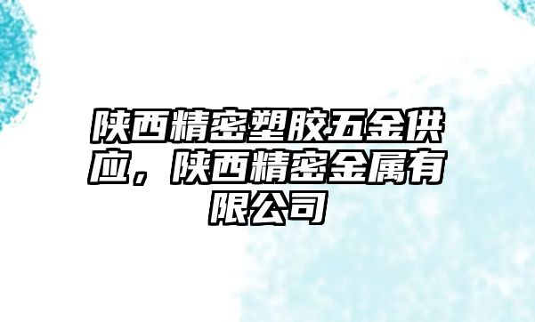 陜西精密塑膠五金供應(yīng)，陜西精密金屬有限公司