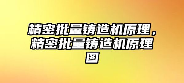 精密批量鑄造機(jī)原理，精密批量鑄造機(jī)原理圖