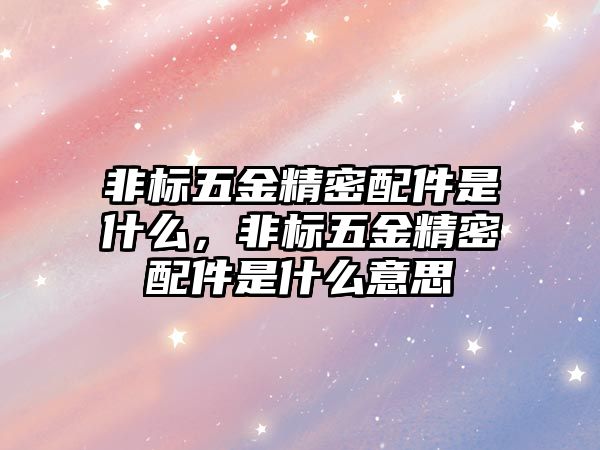 非標(biāo)五金精密配件是什么，非標(biāo)五金精密配件是什么意思