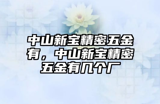 中山新寶精密五金有，中山新寶精密五金有幾個(gè)廠