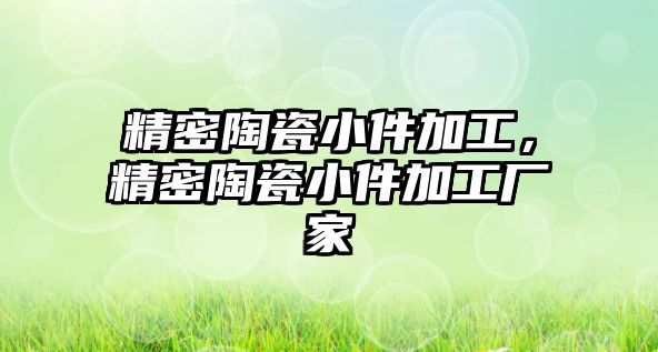 精密陶瓷小件加工，精密陶瓷小件加工廠家