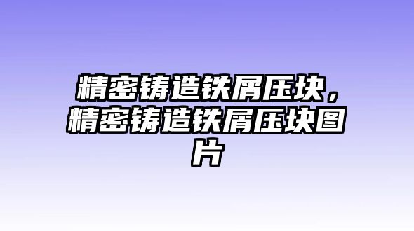 精密鑄造鐵屑?jí)簤K，精密鑄造鐵屑?jí)簤K圖片