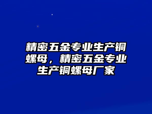 精密五金專業(yè)生產(chǎn)銅螺母，精密五金專業(yè)生產(chǎn)銅螺母廠家