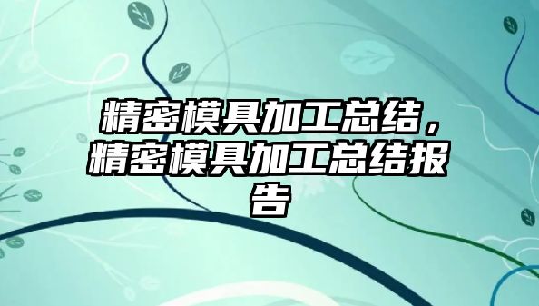 精密模具加工總結(jié)，精密模具加工總結(jié)報告