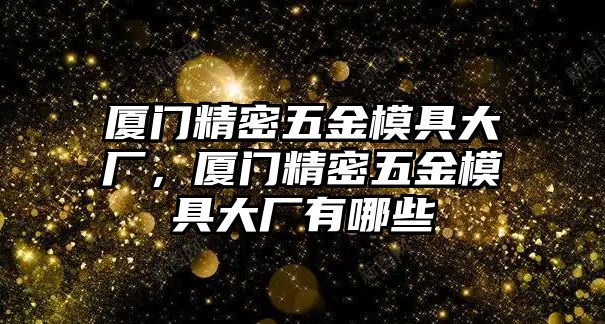 廈門精密五金模具大廠，廈門精密五金模具大廠有哪些