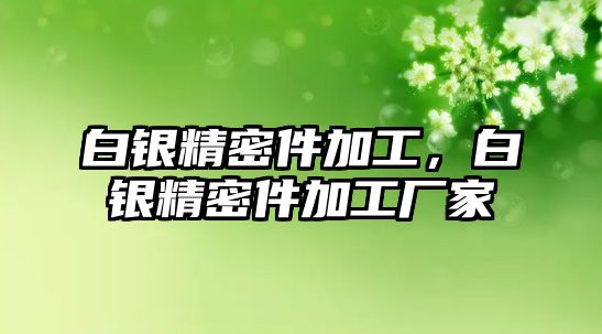 白銀精密件加工，白銀精密件加工廠家