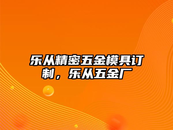 樂從精密五金模具訂制，樂從五金廠