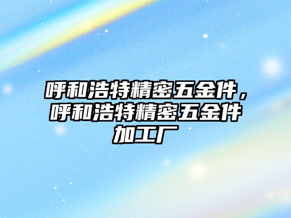 呼和浩特精密五金件，呼和浩特精密五金件加工廠