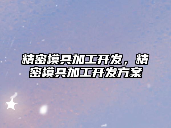 精密模具加工開發(fā)，精密模具加工開發(fā)方案