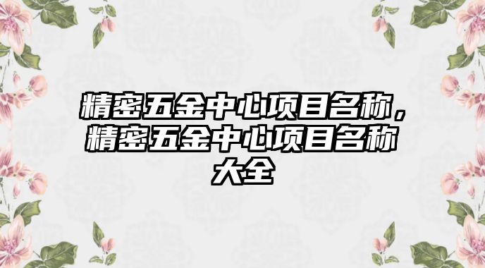 精密五金中心項目名稱，精密五金中心項目名稱大全