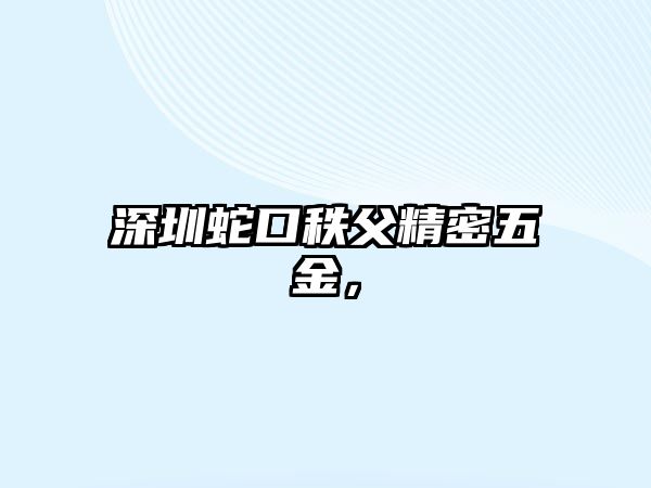 深圳蛇口秩父精密五金，