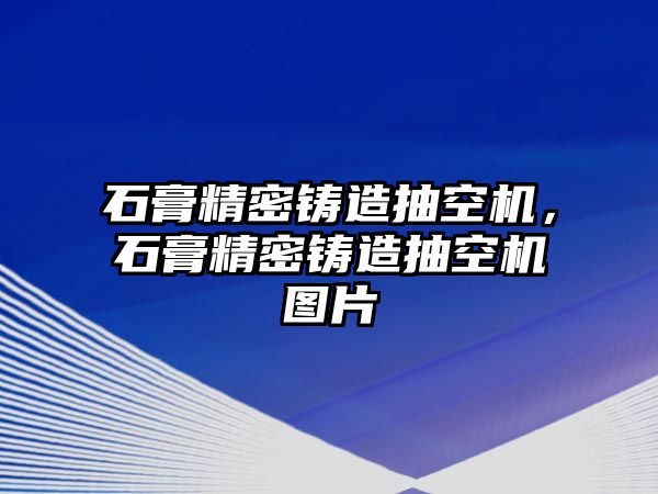 石膏精密鑄造抽空機，石膏精密鑄造抽空機圖片