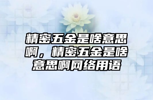 精密五金是啥意思啊，精密五金是啥意思啊網(wǎng)絡(luò)用語