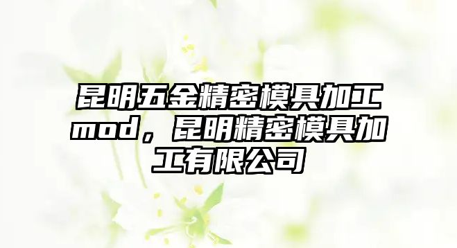 昆明五金精密模具加工mod，昆明精密模具加工有限公司