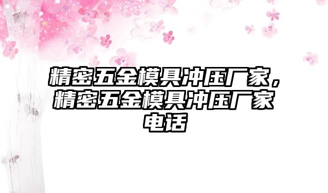 精密五金模具沖壓廠家，精密五金模具沖壓廠家電話