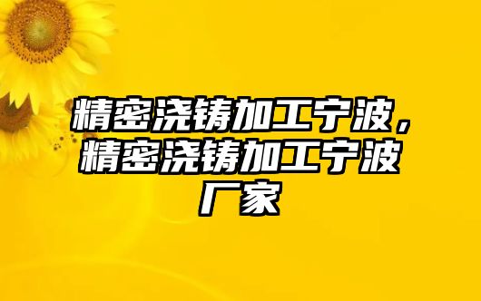 精密澆鑄加工寧波，精密澆鑄加工寧波廠家