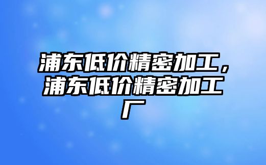 浦東低價(jià)精密加工，浦東低價(jià)精密加工廠