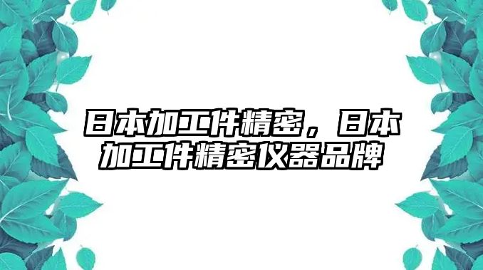 日本加工件精密，日本加工件精密儀器品牌