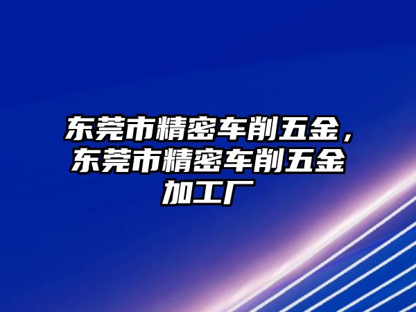 東莞市精密車削五金，東莞市精密車削五金加工廠