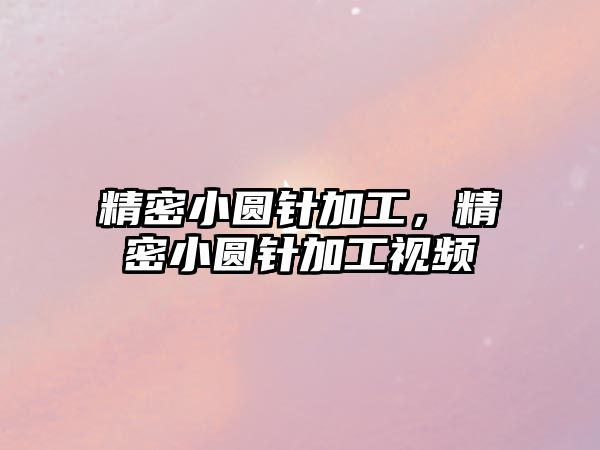 精密小圓針加工，精密小圓針加工視頻