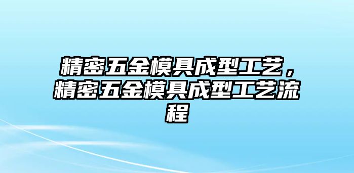 精密五金模具成型工藝，精密五金模具成型工藝流程