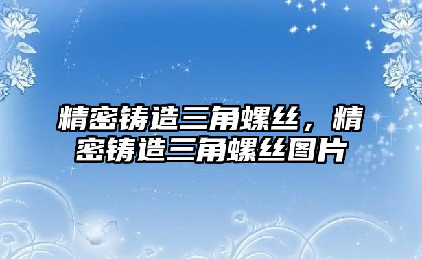 精密鑄造三角螺絲，精密鑄造三角螺絲圖片