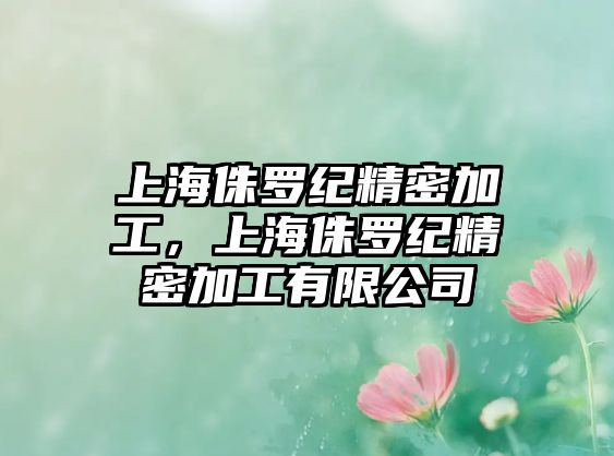 上海侏羅紀(jì)精密加工，上海侏羅紀(jì)精密加工有限公司